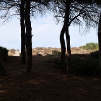 Photo de France - La randonnée de la Tamarissière